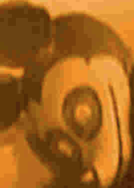axylos